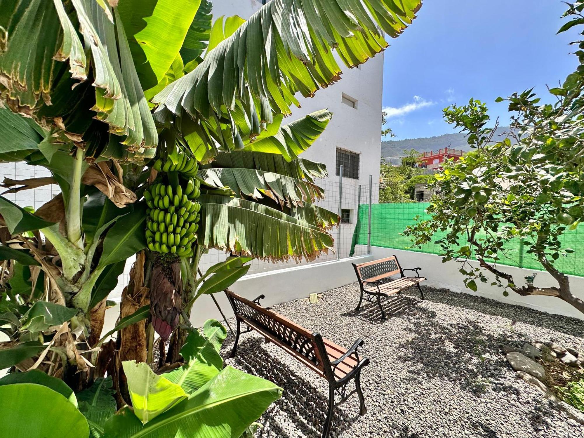 Villa Casa Tina Güimar Exterior foto