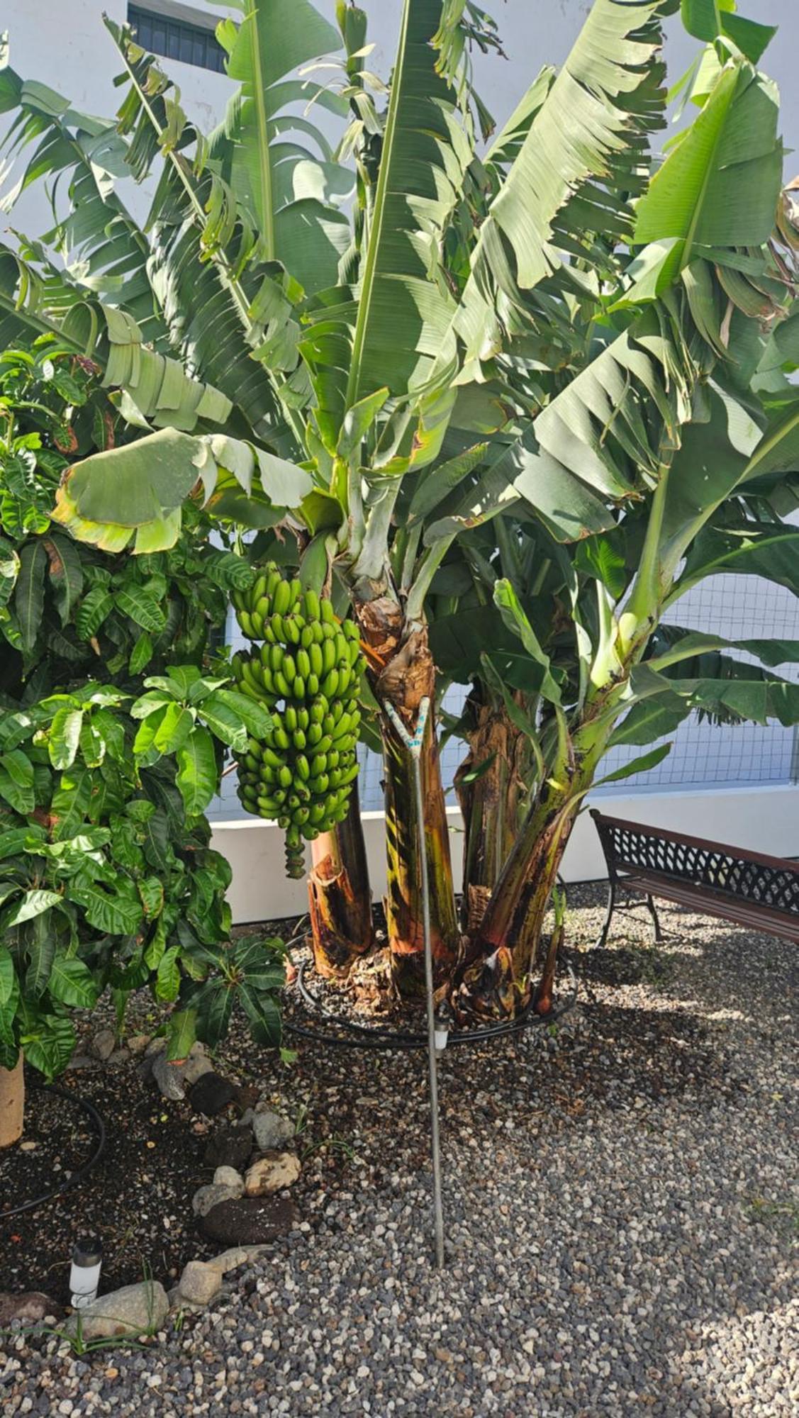 Villa Casa Tina Güimar Exterior foto