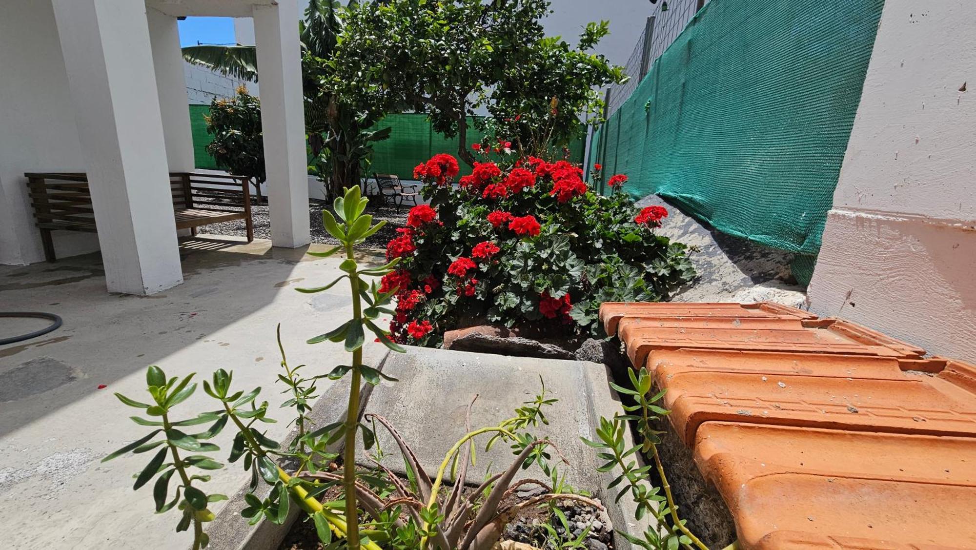 Villa Casa Tina Güimar Exterior foto